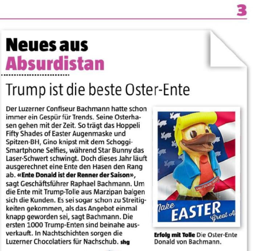 Blick am Abend Ente Donald